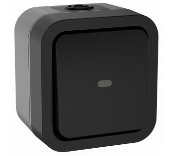 TORS Переключатель одноклавишный с индикацией 10А IP55 TS102 графит IEK