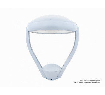 Diora Meduza Park 40/6000 Д прозрачный 3K Black