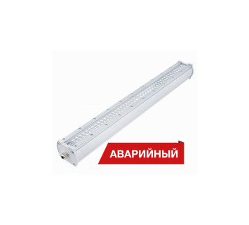 Diora Piton 40/5300 К60 4K Т