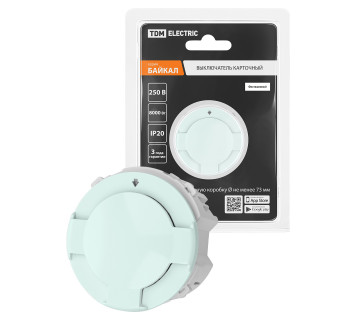 Выключатель карточный 250В 8кВт фисташковый, 