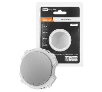 Выключатель 1-кл. 16А 250В платина, 