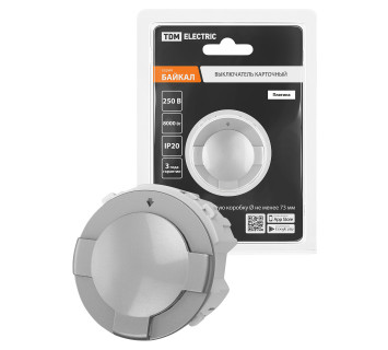 Выключатель карточный 250В 8кВт платина, 